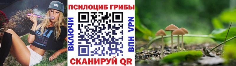 Галлюциногенные грибы MAGIC MUSHROOMS  мега ссылка  Трубчевск  цена  
