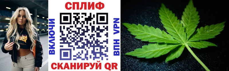 МАРИХУАНА ГИДРОПОН  Трубчевск 